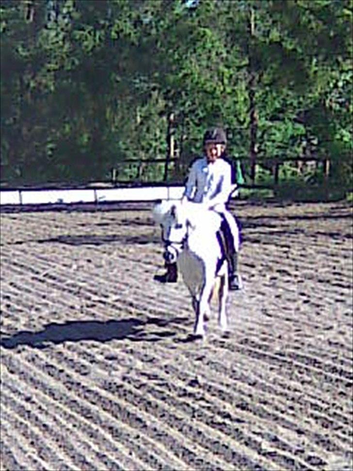 Anden særlig race Lilo - til stævne

dårlig kvalitet:( billede 3