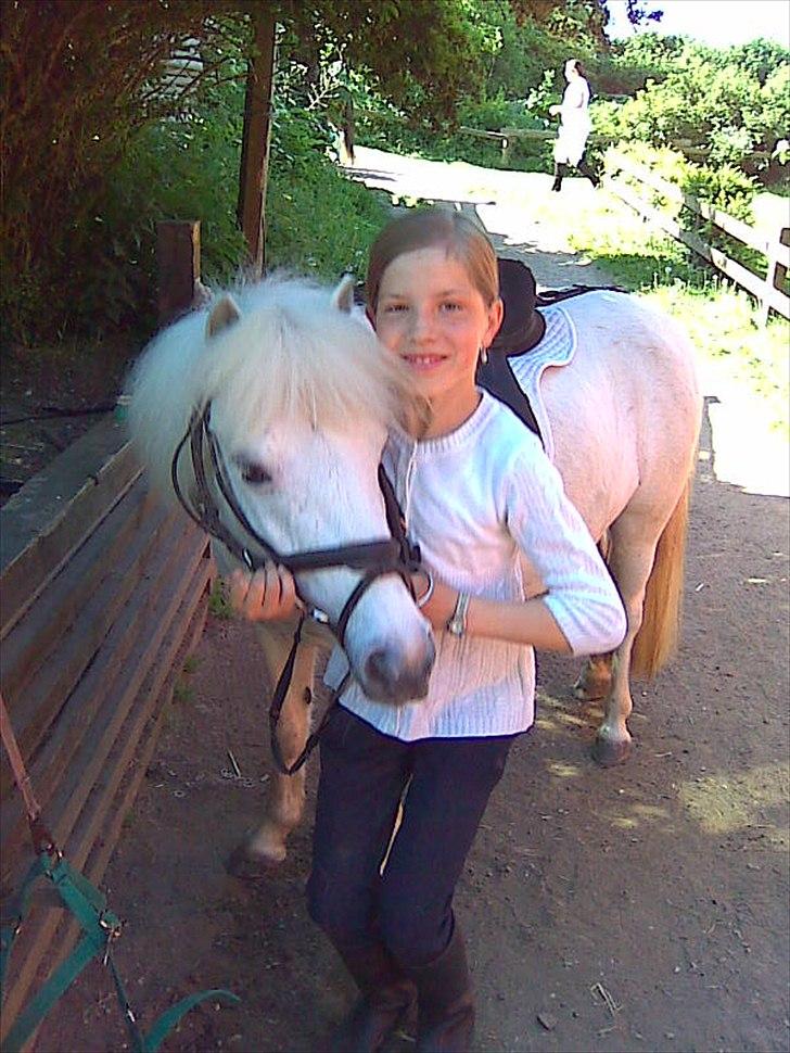 Anden særlig race Lilo billede 4