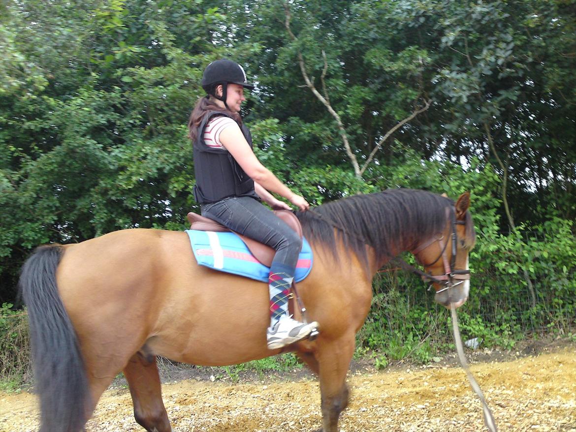 Anden særlig race Arkido billede 13