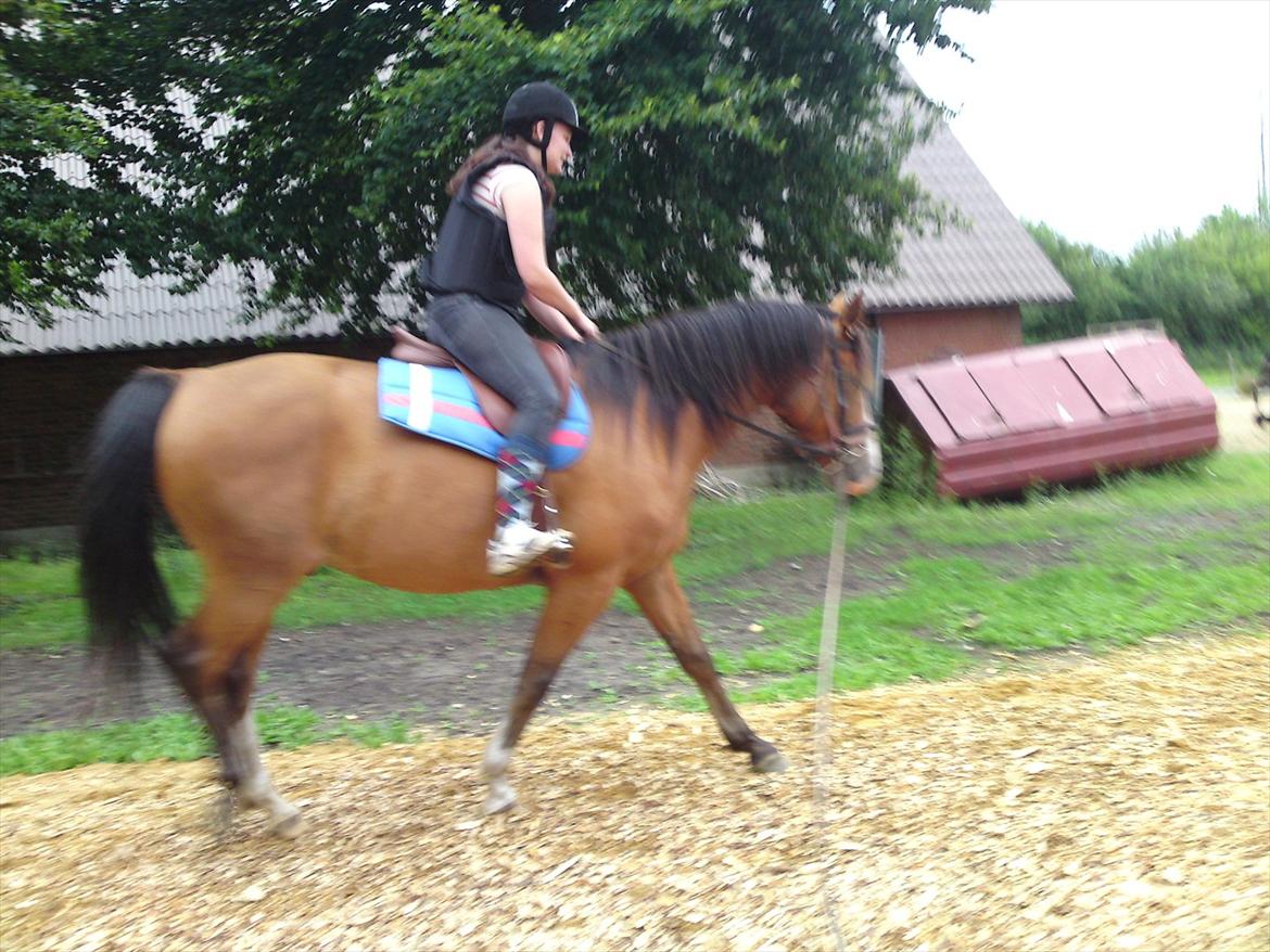 Anden særlig race Arkido - Dette er fra 3 gang jeg er oppe på ham billede 3