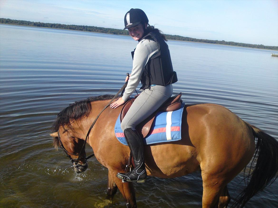 Anden særlig race Arkido billede 9