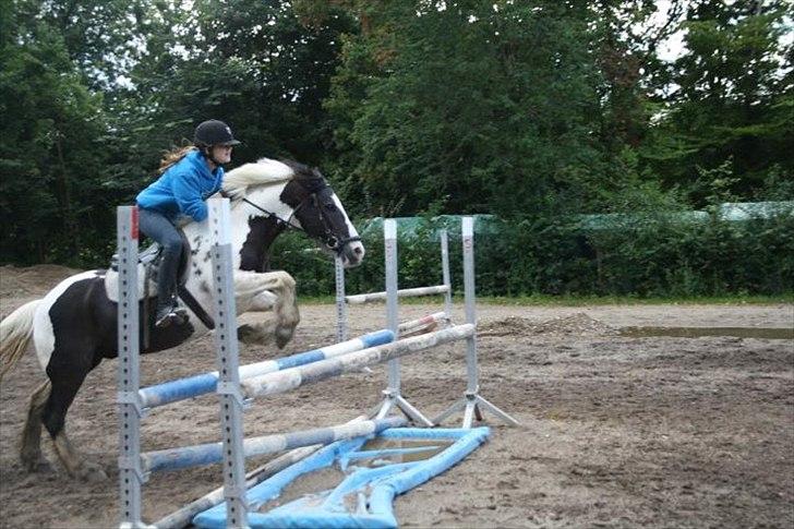 Irish Cob Mars <3 | Mit liv. <3 |  - Træning <3 billede 13