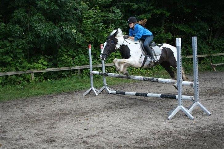 Irish Cob Mars <3 | Mit liv. <3 |  - <3 billede 12