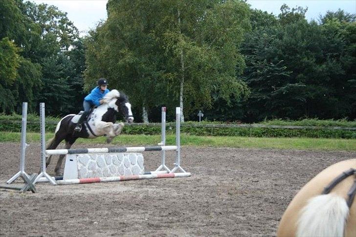 Irish Cob Mars <3 | Mit liv. <3 |  - Du tar mig tættere på himlen! <3. billede 16