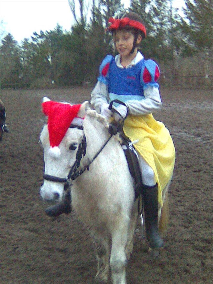 Anden særlig race Lilo - jule kvadrille:D snehvide billede 5