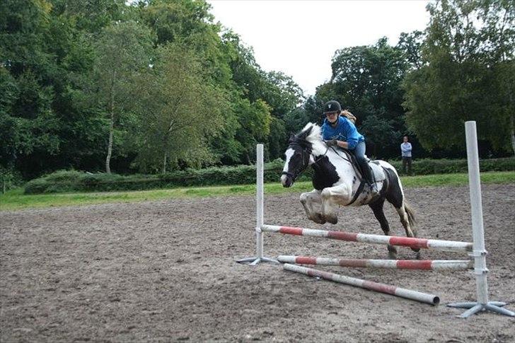 Irish Cob Mars <3 | Mit liv. <3 |  - Opvarmning. <3 billede 11