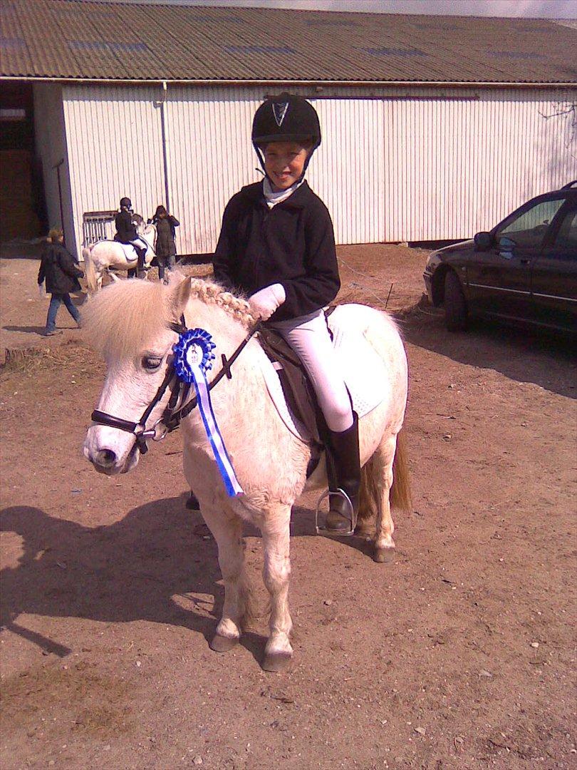 Anden særlig race Lilo - 2. plads på HES billede 7