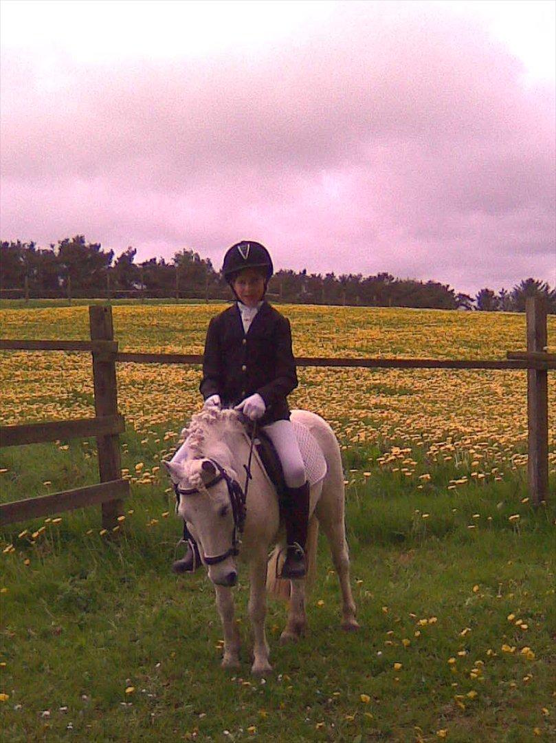 Anden særlig race Lilo - lige før stævne på hjemmebane(langstruplund) billede 9