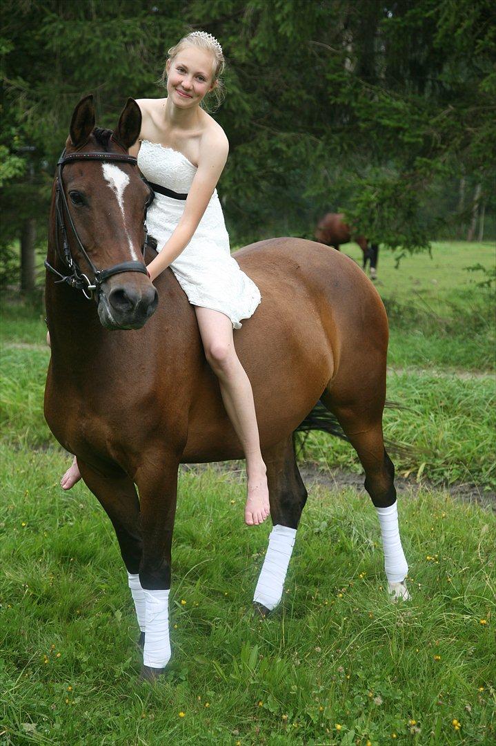 New Forest Lucky - Verdens dejligste Lucker! Med konfirmationskjole! billede 1