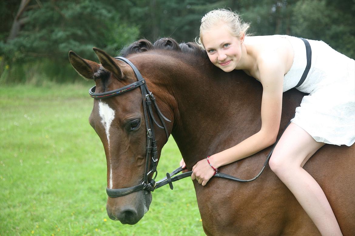 New Forest Lucky billede 3