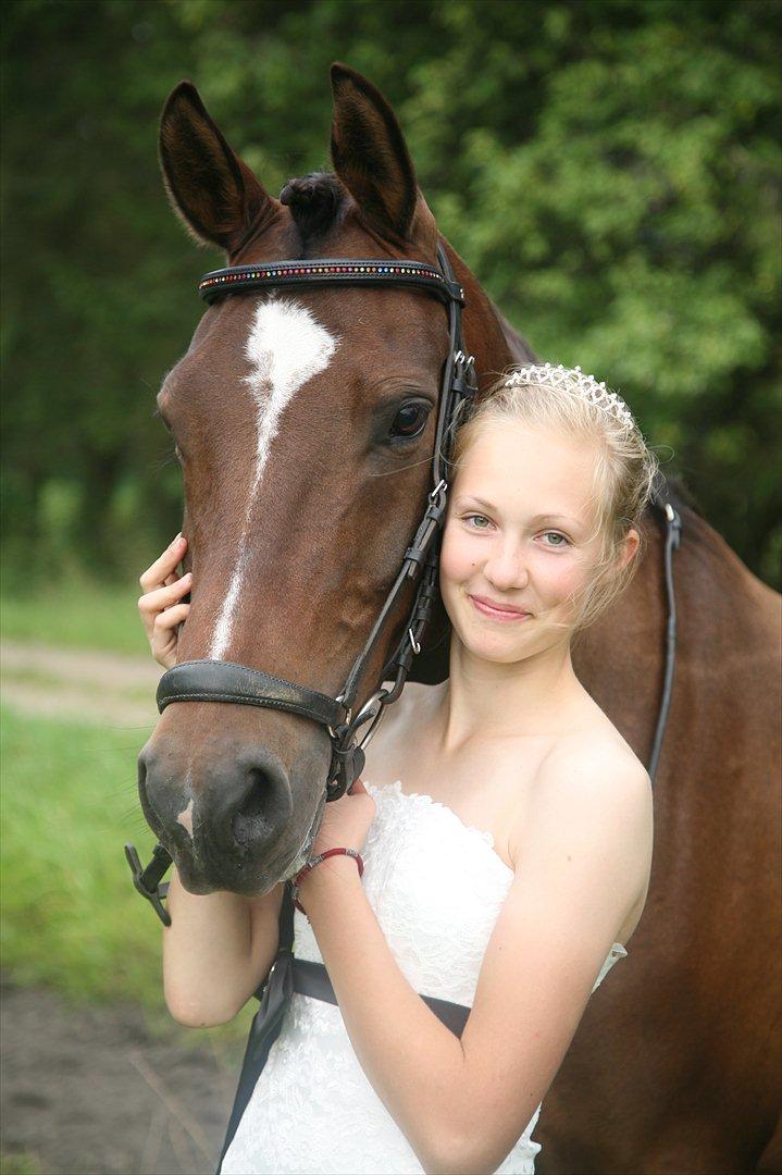 New Forest Lucky billede 2