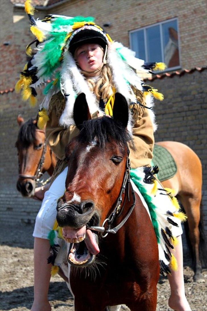 Pinto Apache-  <3 - træt indianer pony til udklædnings spring <3 billede 6