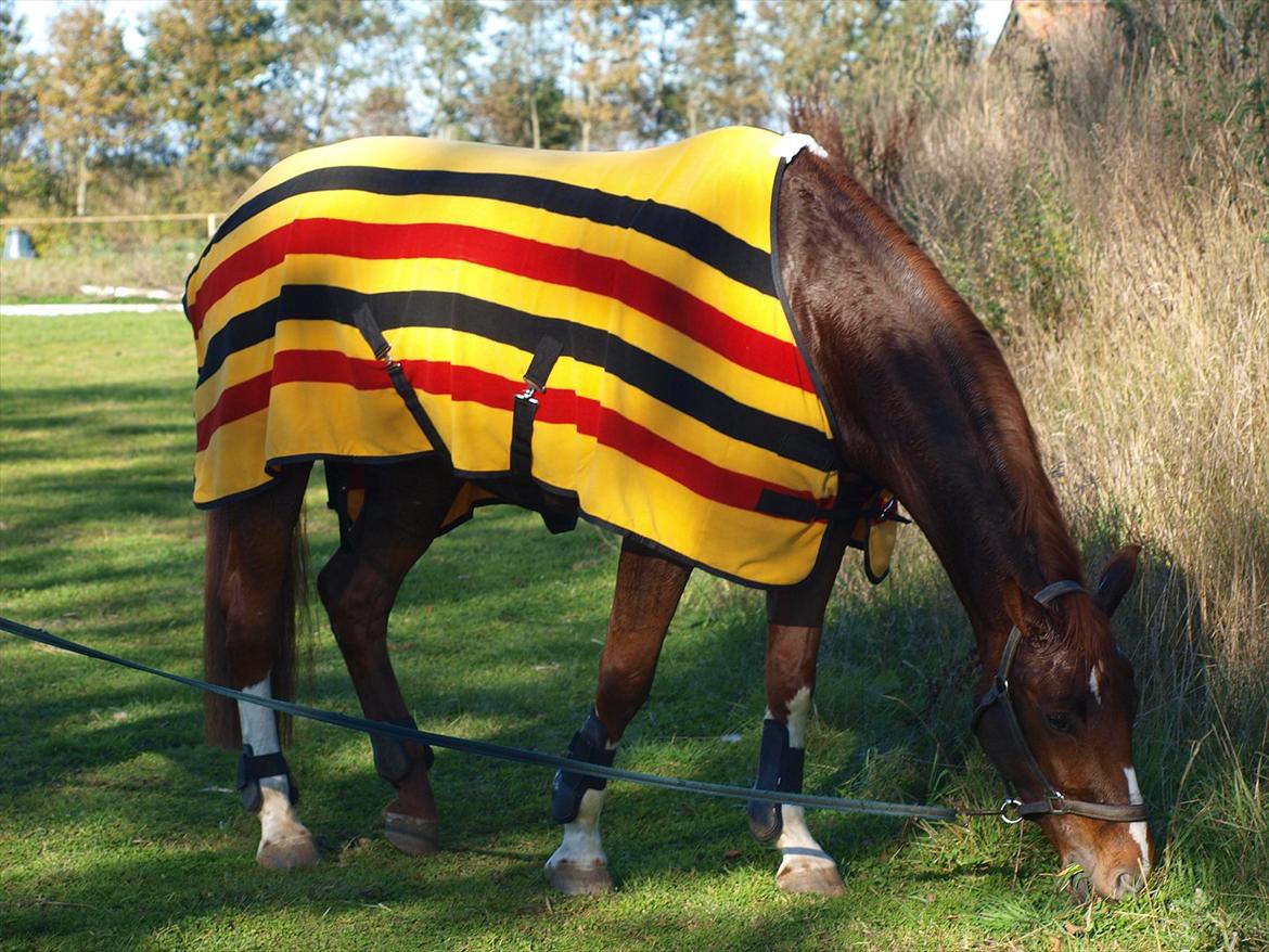 Holstener Monique billede 1