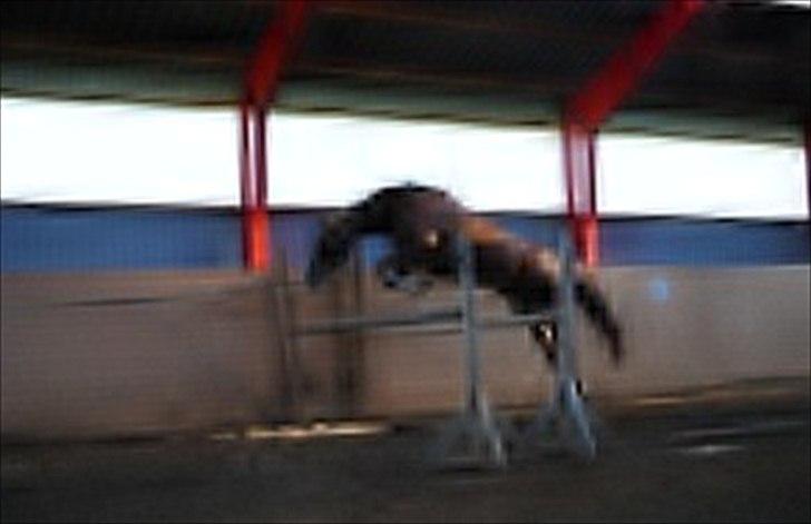 Holstener Monique billede 2