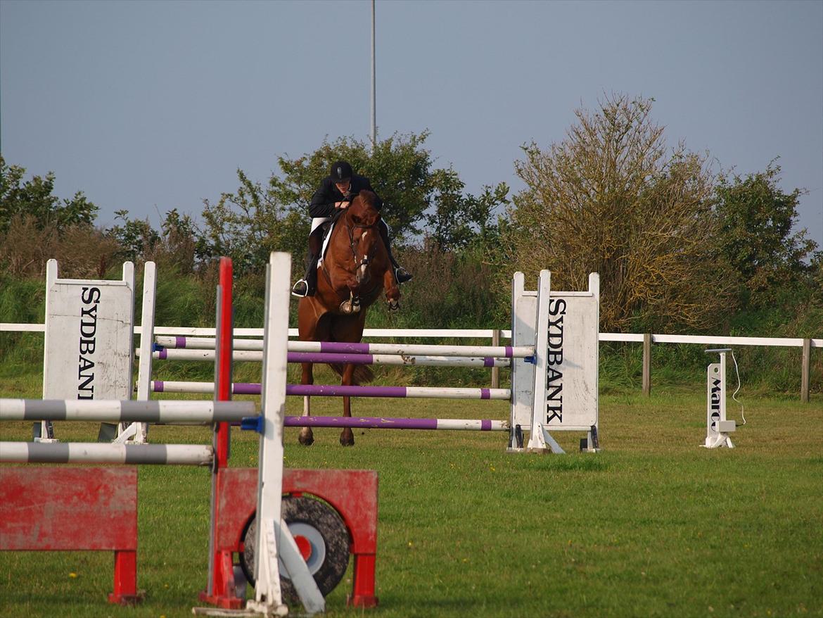 Holstener Monique billede 6