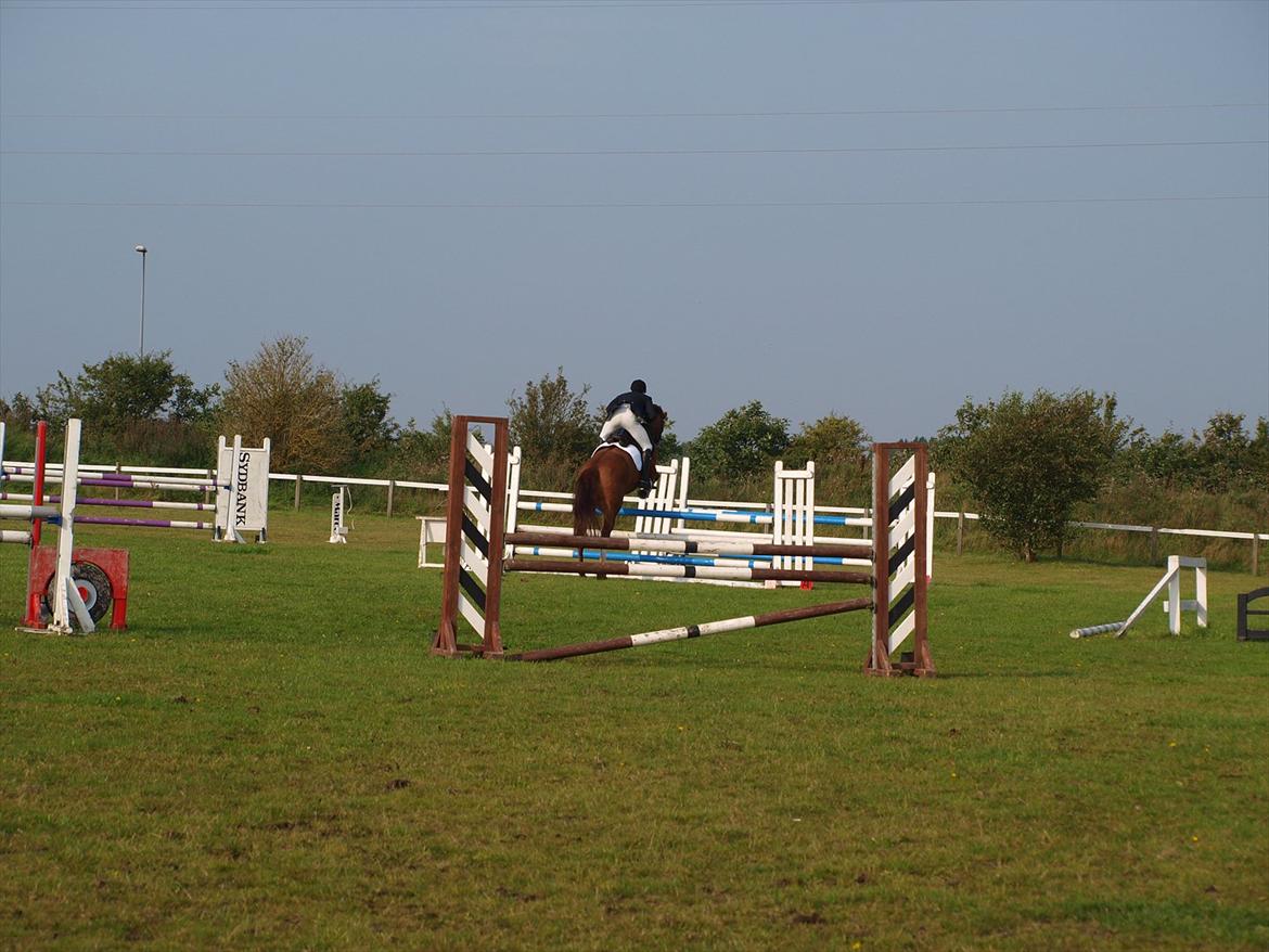 Holstener Monique billede 7