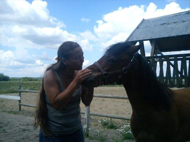 Anden særlig race Maybee. - Mor og Maybee. Sommer 2010. billede 6