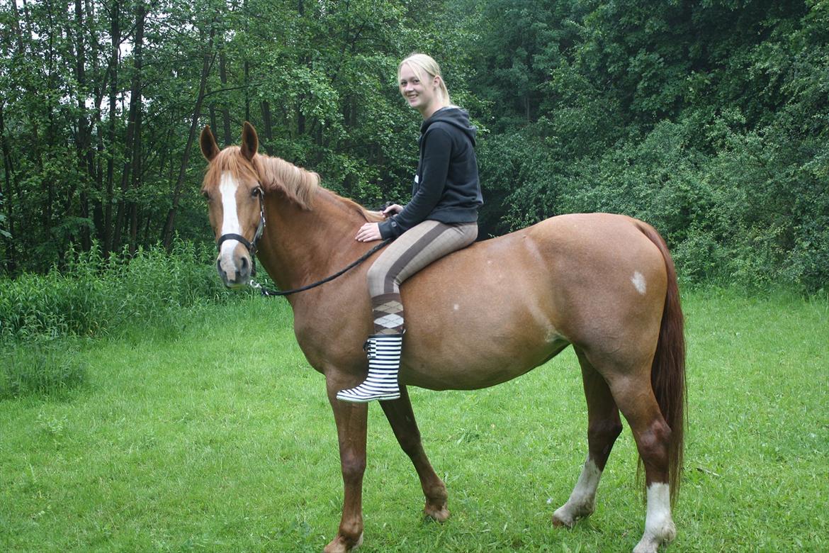 Frederiksborg Stella *RIP* :'( - Et af de sidste billeder jeg fik taget med hende <3 billede 16