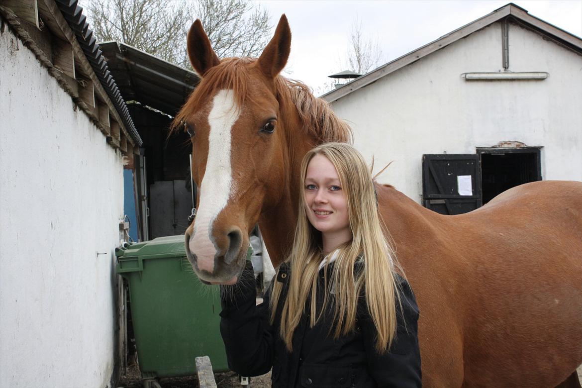 Frederiksborg Stella *RIP* :'( - Taget fra hendes sidste måned <3 Du vil foraltid være savnet! <3 billede 1