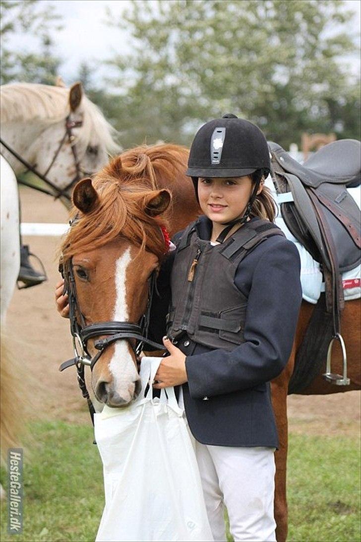 DSP Lejaro Rouge billede 12