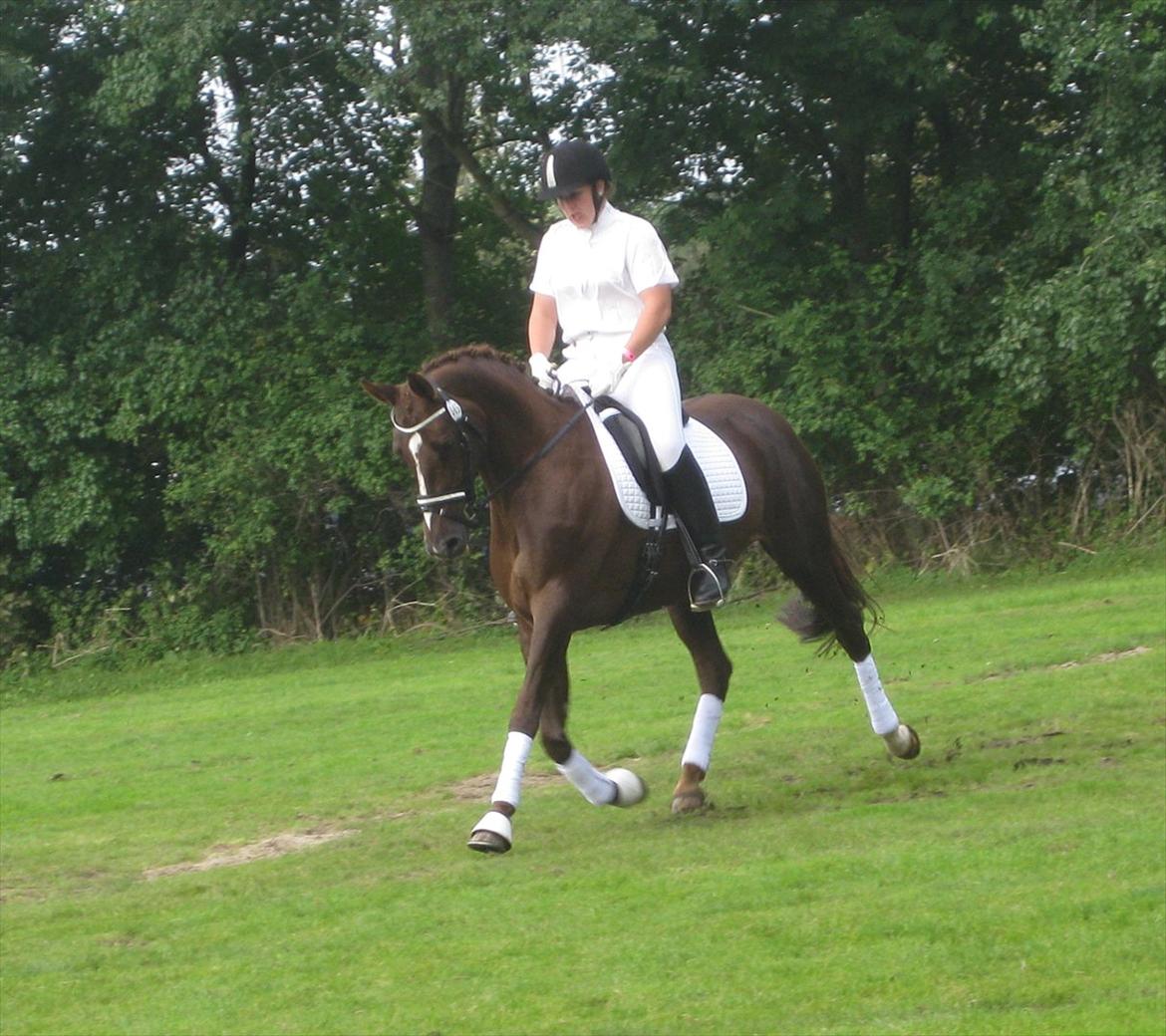 Anden særlig race Daisy - Daisy og Kimie den 3. Sep. 2011 billede 8