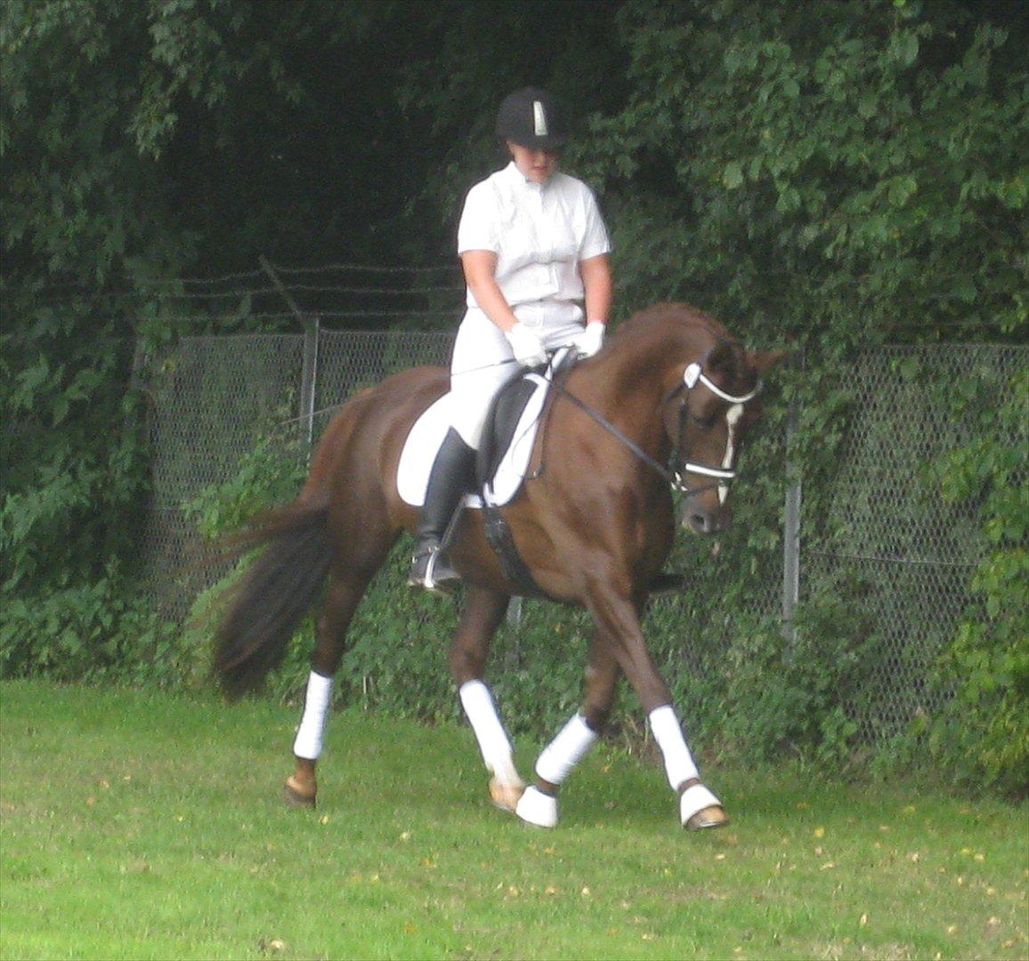 Anden særlig race Daisy - Daisy og Kimie den 3. Sep. 2011 billede 6