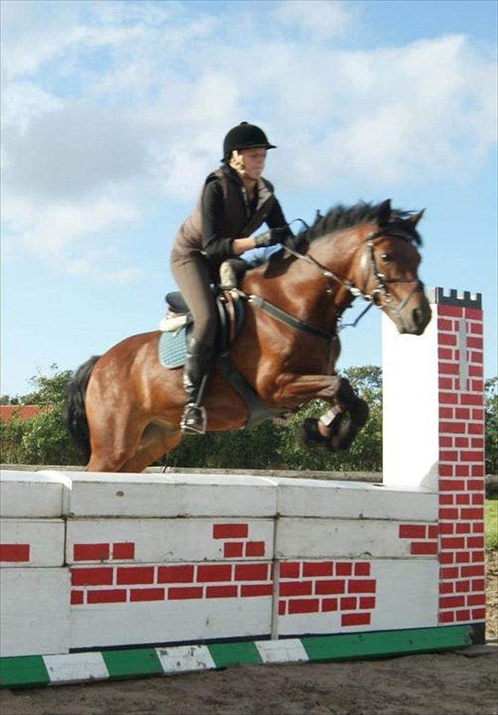 Connemara Maskenkol's Rebelix - Rebelix og mig til spring:)  billede 19