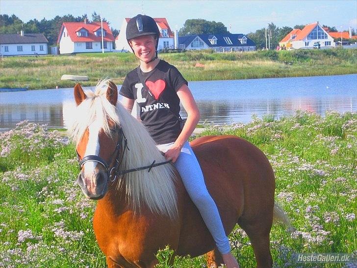 Tyroler Haflinger <3 partner <3  i miss you!!! <3 :´( - Hvordan kan man være så perfekt!!!!! <3 billede 3