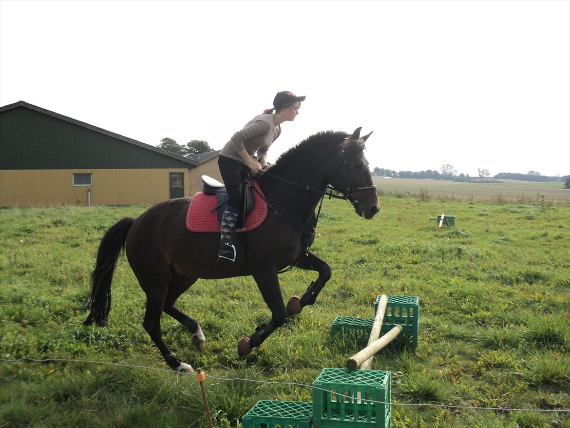 Traver Godiva pride<3 R.I.P ;( - nyt billede 13