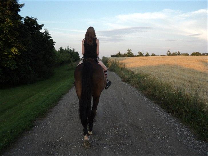 Traver Godiva pride<3 R.I.P ;( - Når enden er god er alting godt! <3 Tak for besøget billede 20