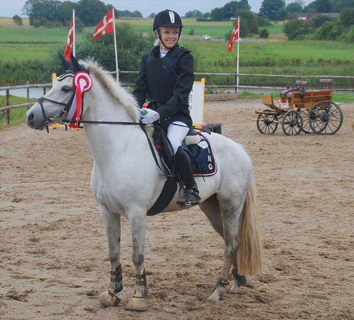 Tysk Sportspony *LONIA* billede 7