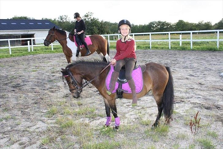 Anden særlig race miss gabby billede 1