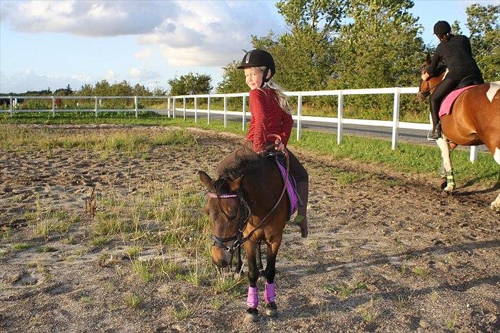 Anden særlig race miss gabby billede 2