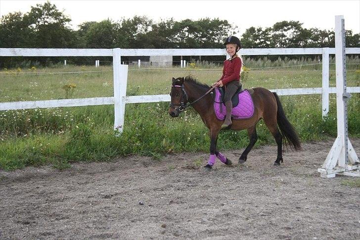 Anden særlig race miss gabby billede 3