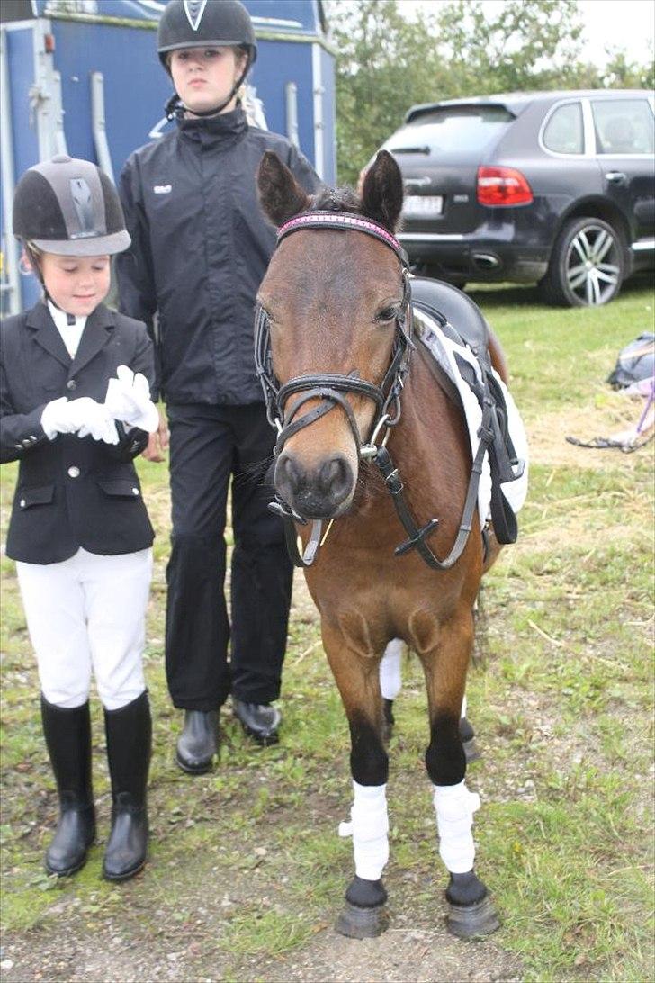 Anden særlig race miss gabby billede 7
