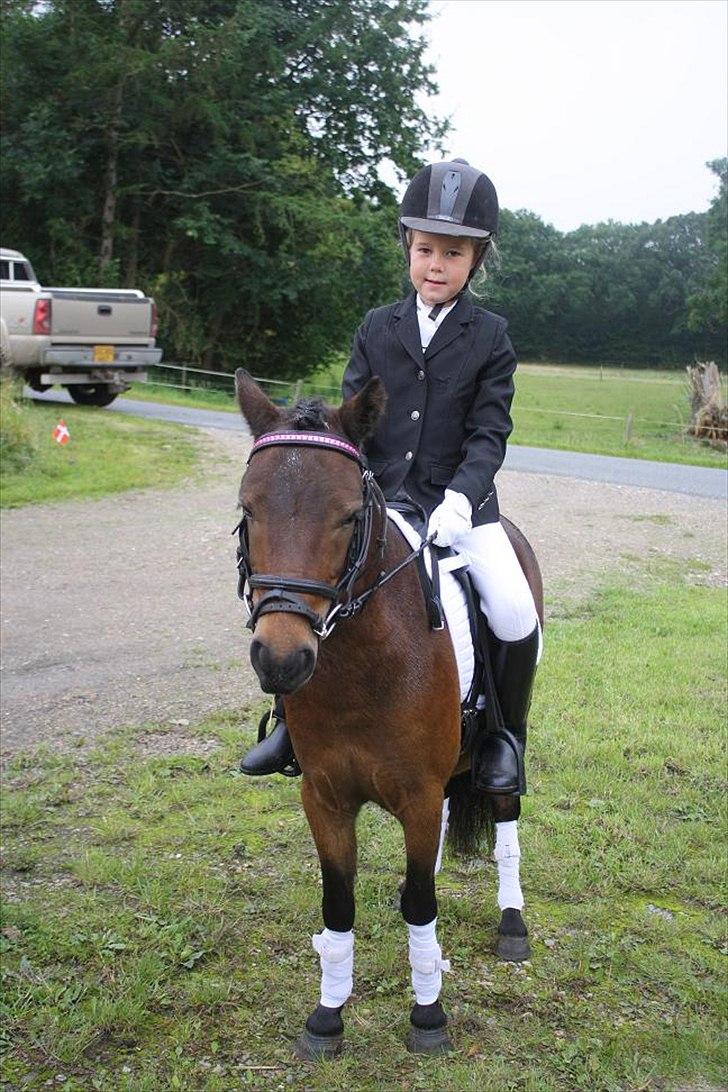 Anden særlig race miss gabby billede 8