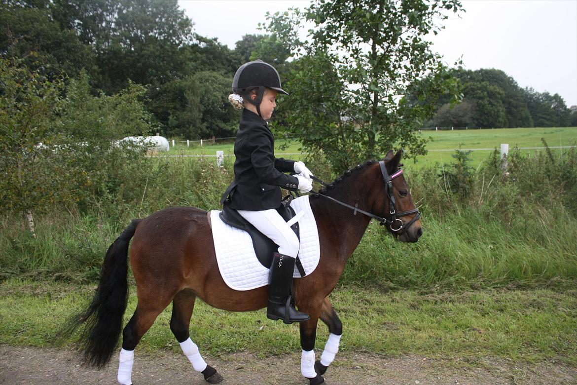 Anden særlig race miss gabby billede 9