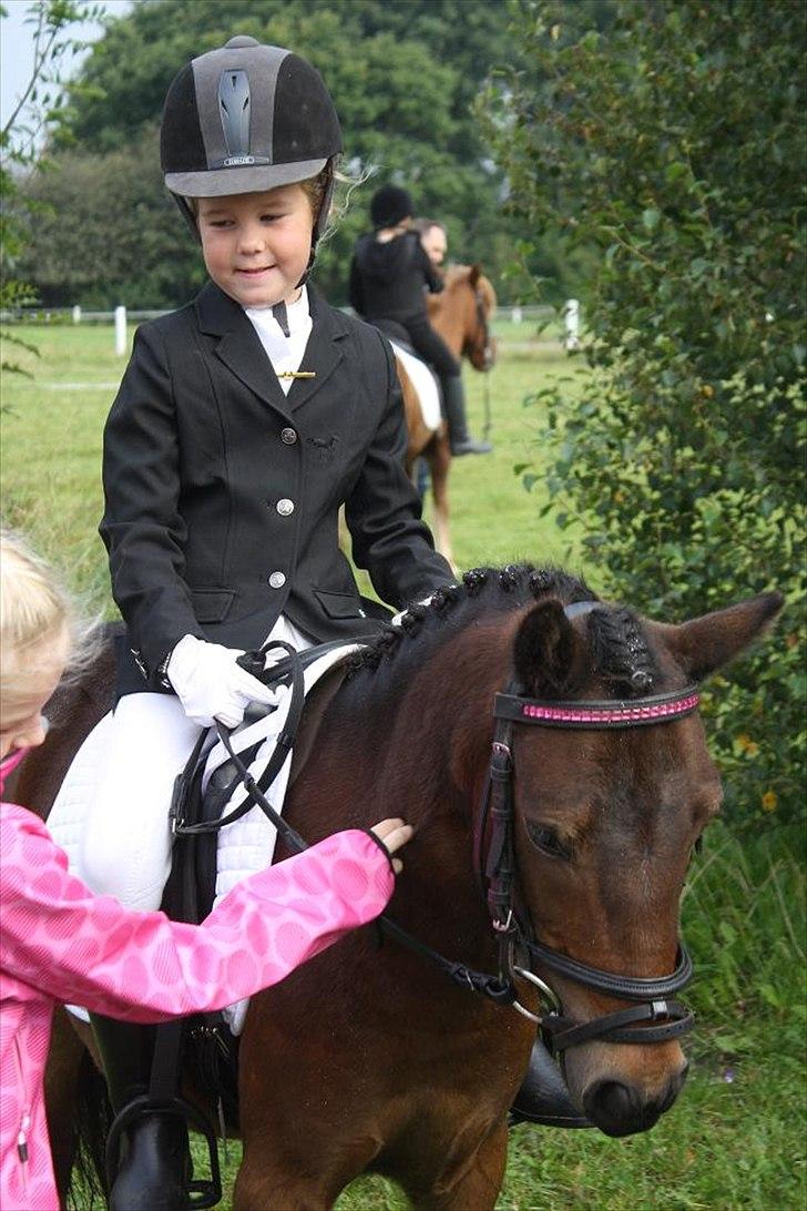 Anden særlig race miss gabby billede 11