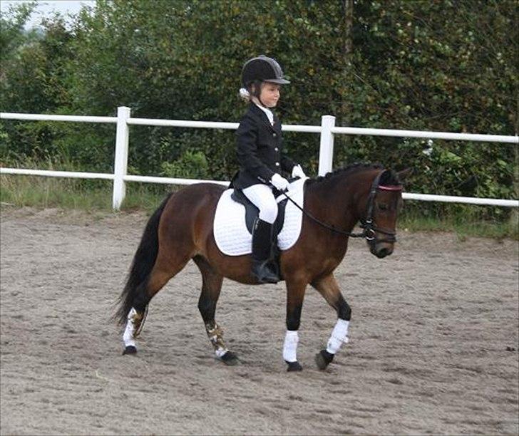 Anden særlig race miss gabby billede 13