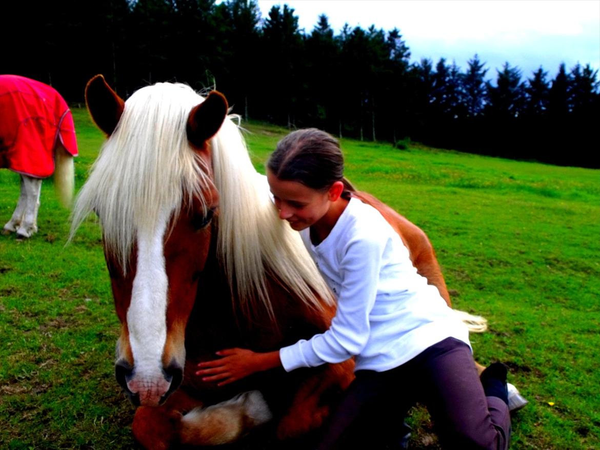 Tyroler Haflinger † <3Partner<3 Den SMUKKESTE stjerne på himlen<'3† - "Of all the boys I have ever met, your the one I won't forget. And if I die before you do, I'll go to heaven and wait for you." billede 10