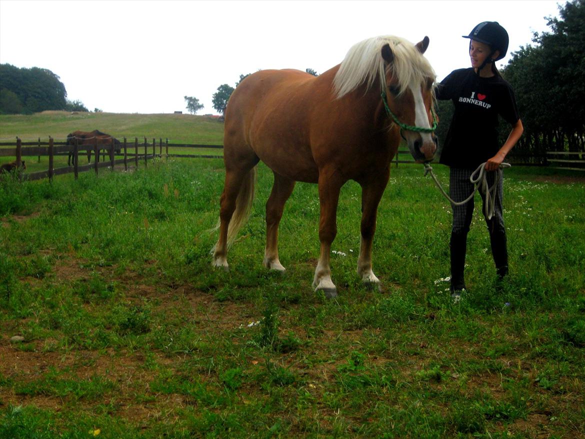 Tyroler Haflinger † <3Partner<3 Den SMUKKESTE stjerne på himlen<'3† - "I love you. Not for what you are or what you do, but for what I am, when I'm with you." billede 8