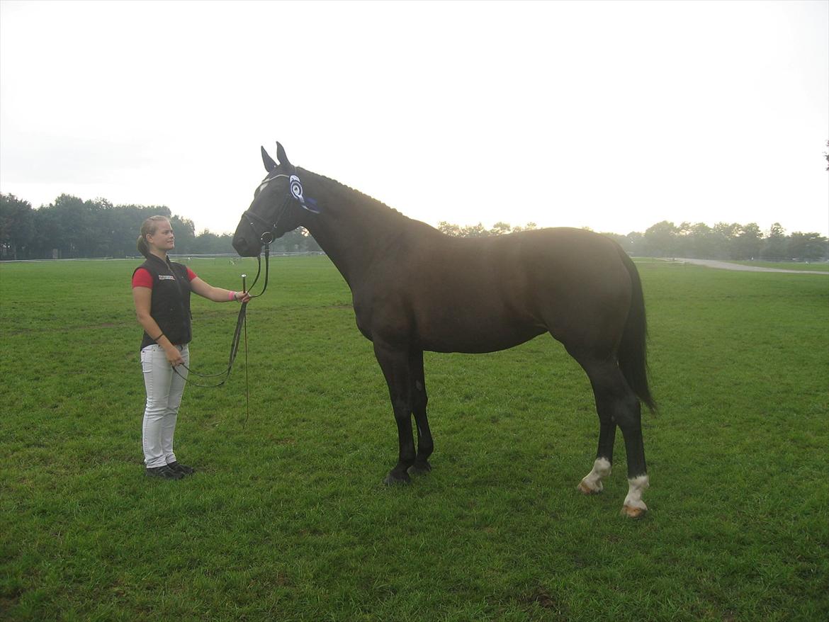 Anden særlig race Kiki Dee billede 16