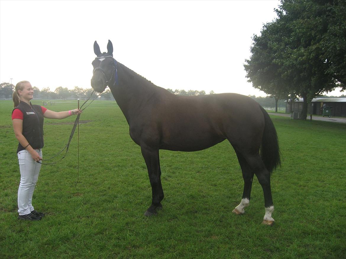 Anden særlig race Kiki Dee billede 17