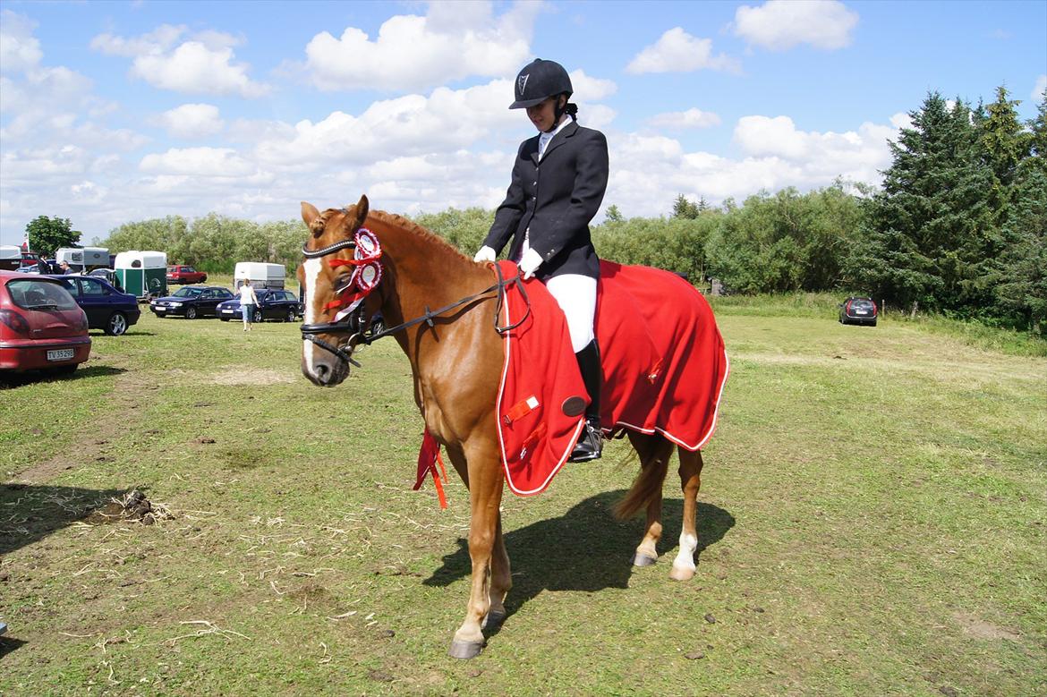 Anden særlig race Ning - Min præmiegris billede 7