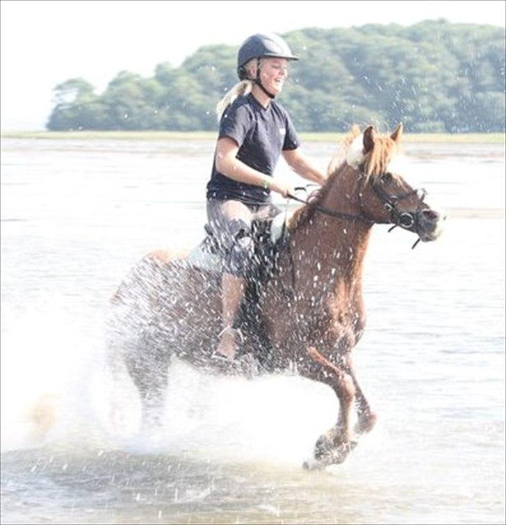 Anden særlig race DONNA - Donna og jeg - Vandplask med Sofie & Buster 2010! pony, du har været det hele værd! billede 19