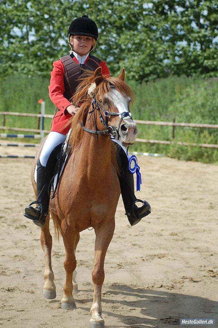 Anden særlig race DONNA - Donna og jeg, anden plads i kjellerup 2009! du skøøn pony! billede 20