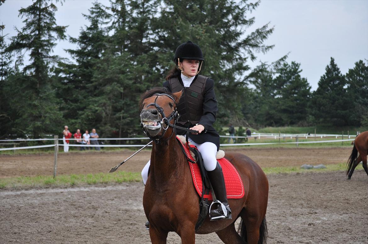 New Forest Angelina Bay {my'girl}  billede 10