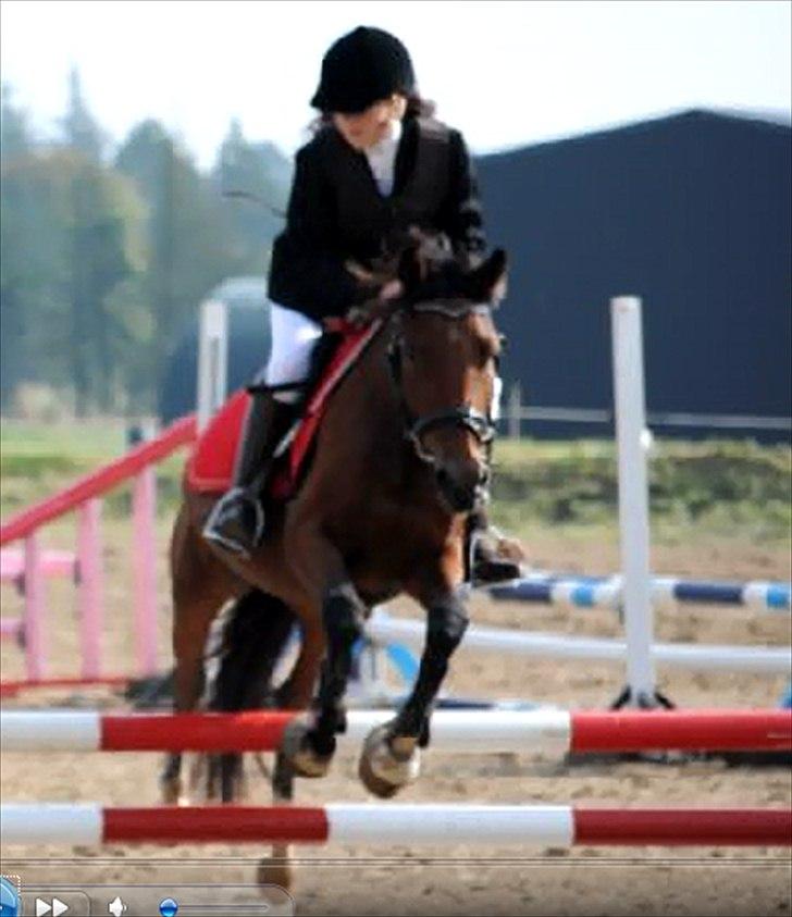 New Forest Angelina Bay {my'girl}  billede 11