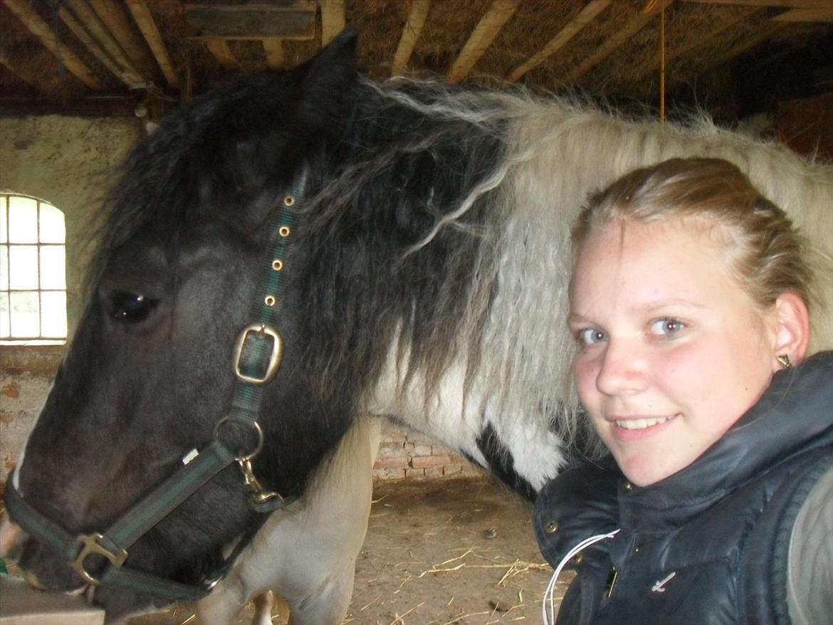 Tinker Harry **solgt :-'(** - Du kønnere end mig!<3 billede 18