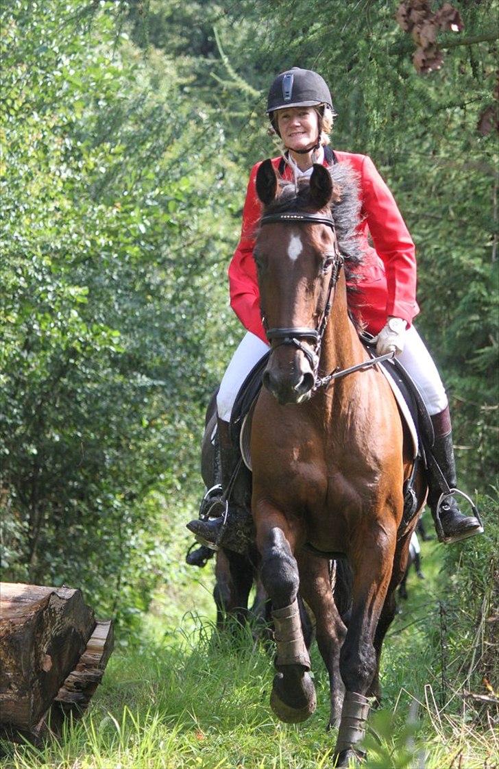 Dansk Varmblod Slumstrups May boy - Tobohøj 2011, Taget af Louise Jacobsen billede 16